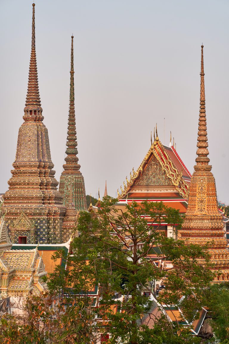 สภาเผยแผ่พาณิชย์: ประวัติศาสตร์การบริหารราชการแผ่นดินและเศรษฐกิจในสมัยรัชกาลที่ 6